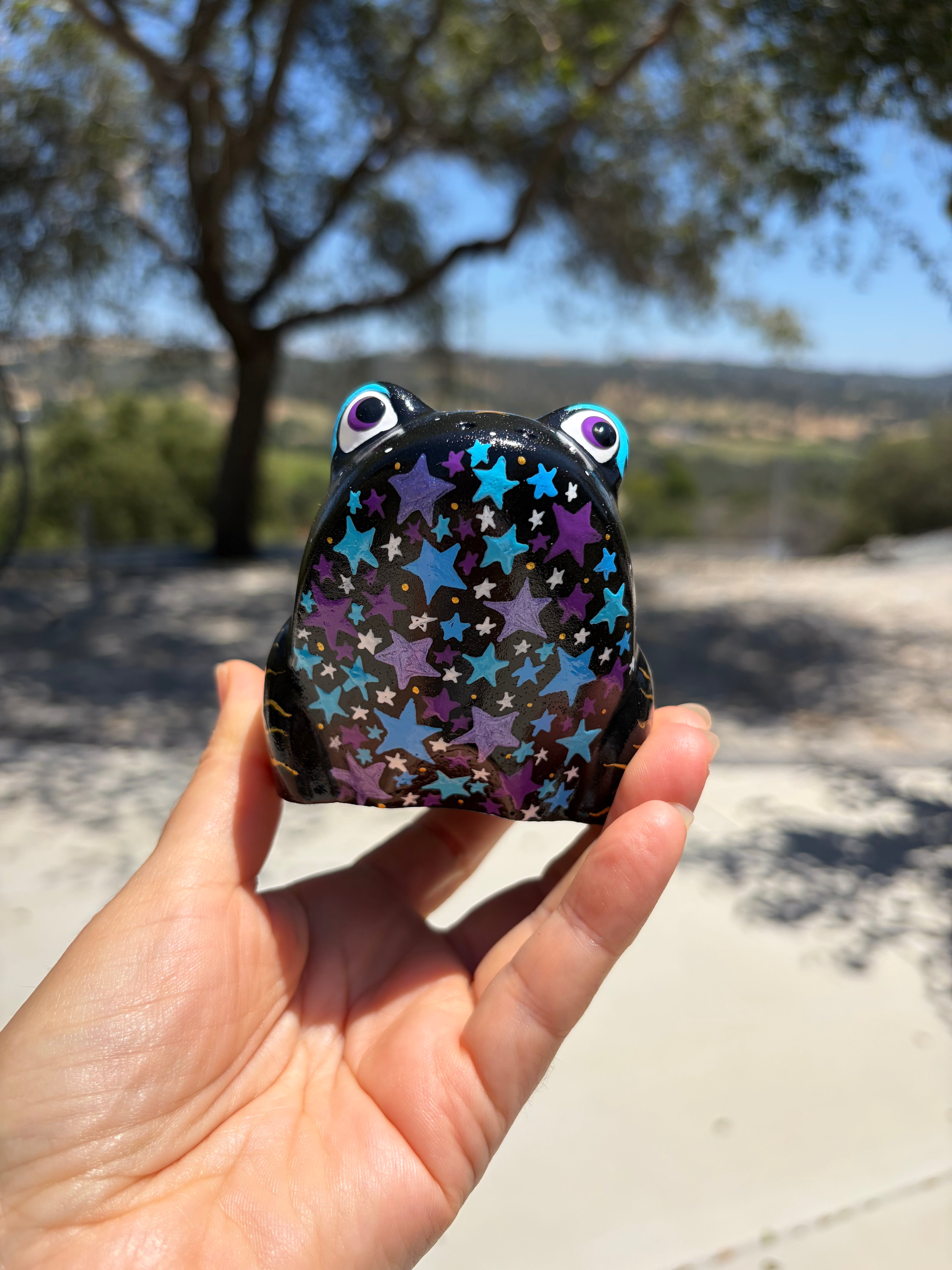 Hand Painted Starry Frog