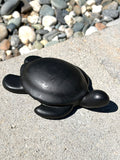 Blank turtle