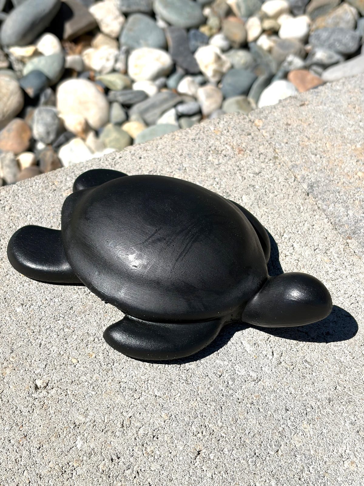 Blank turtle