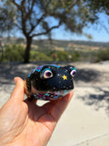 Frog. Starry inspired