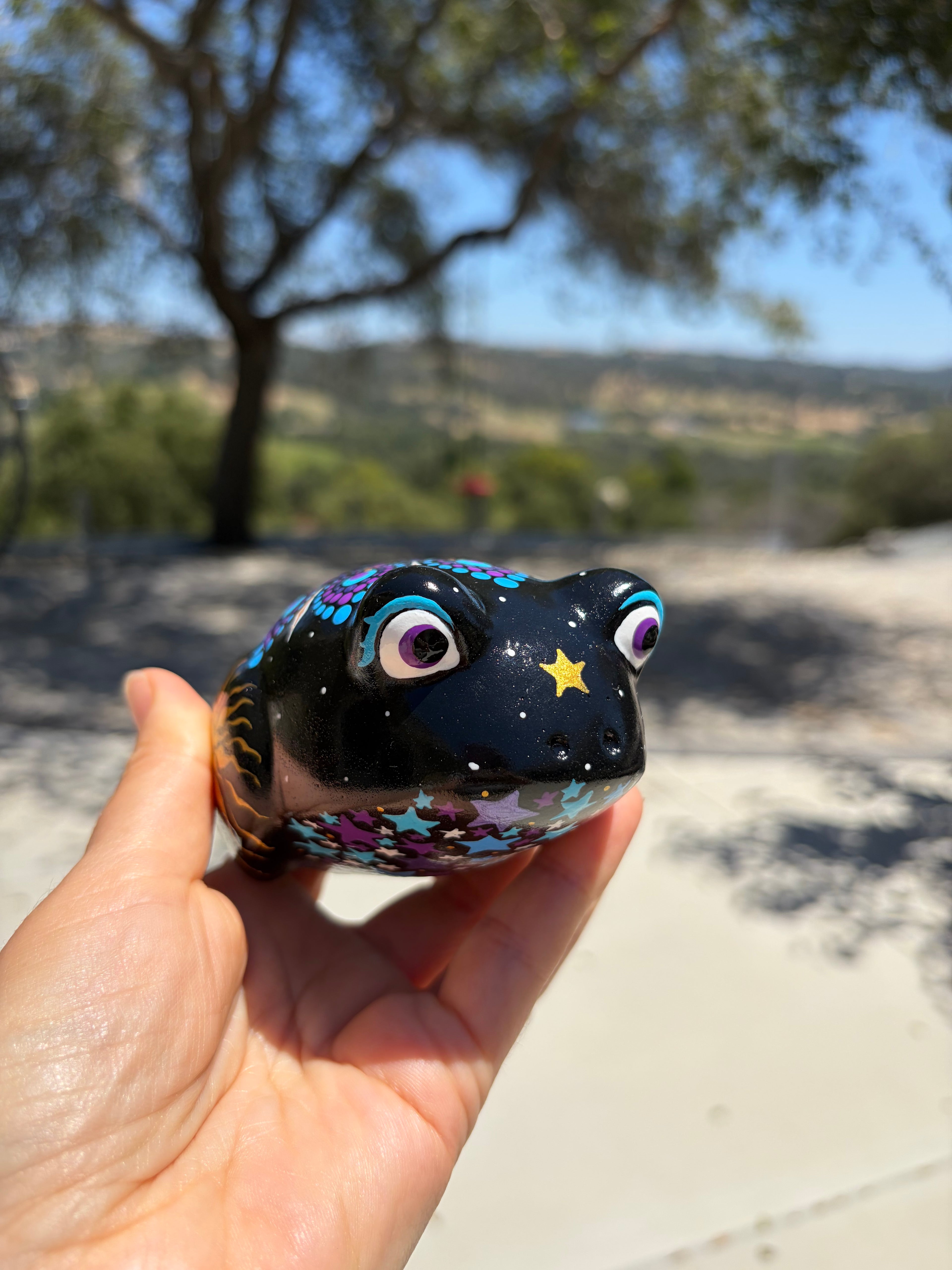 Hand Painted Starry Frog