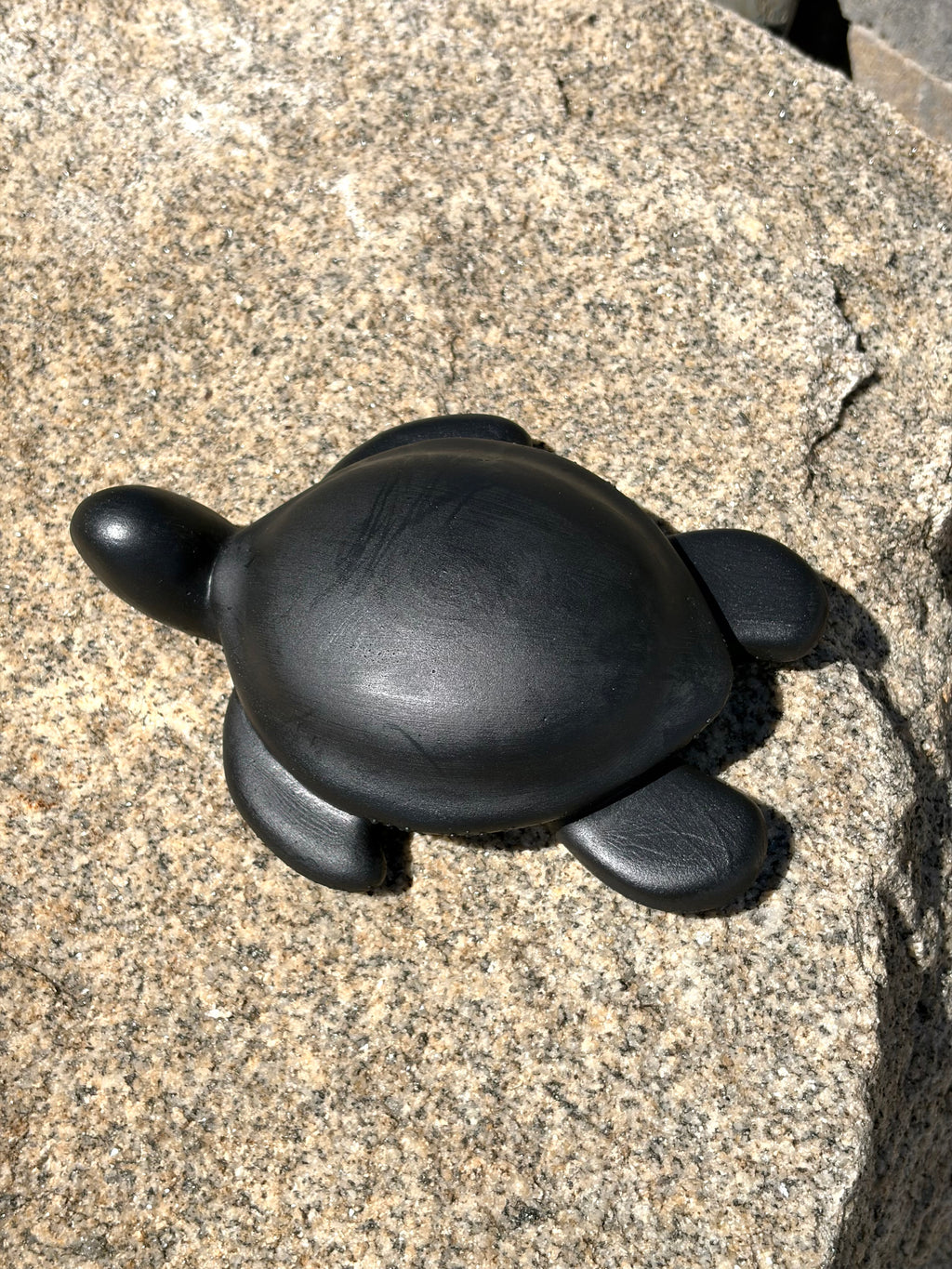 Blank turtle