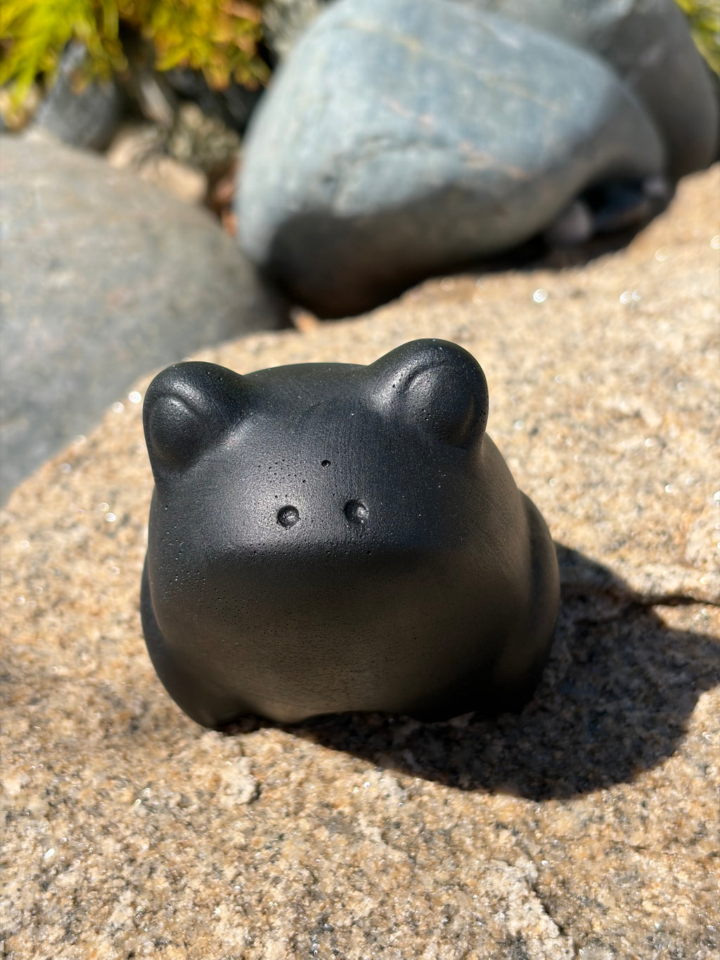 Blank. Frog