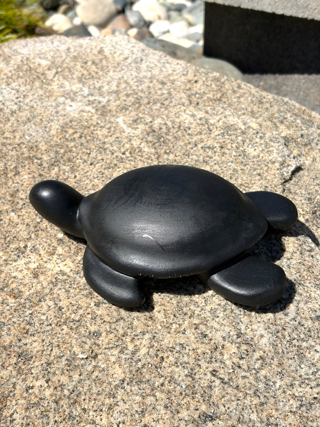 Blank turtle