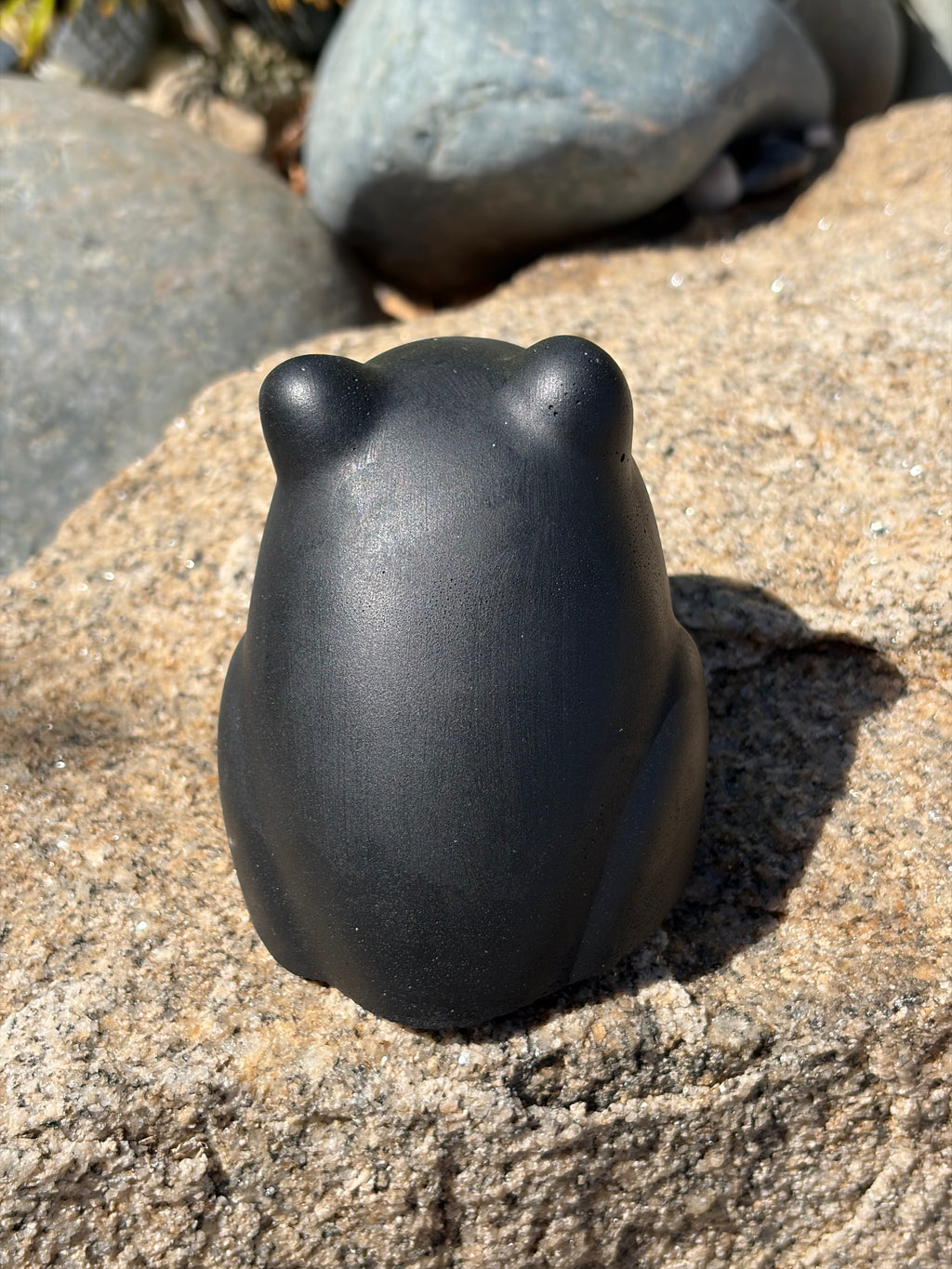 Blank. Frog