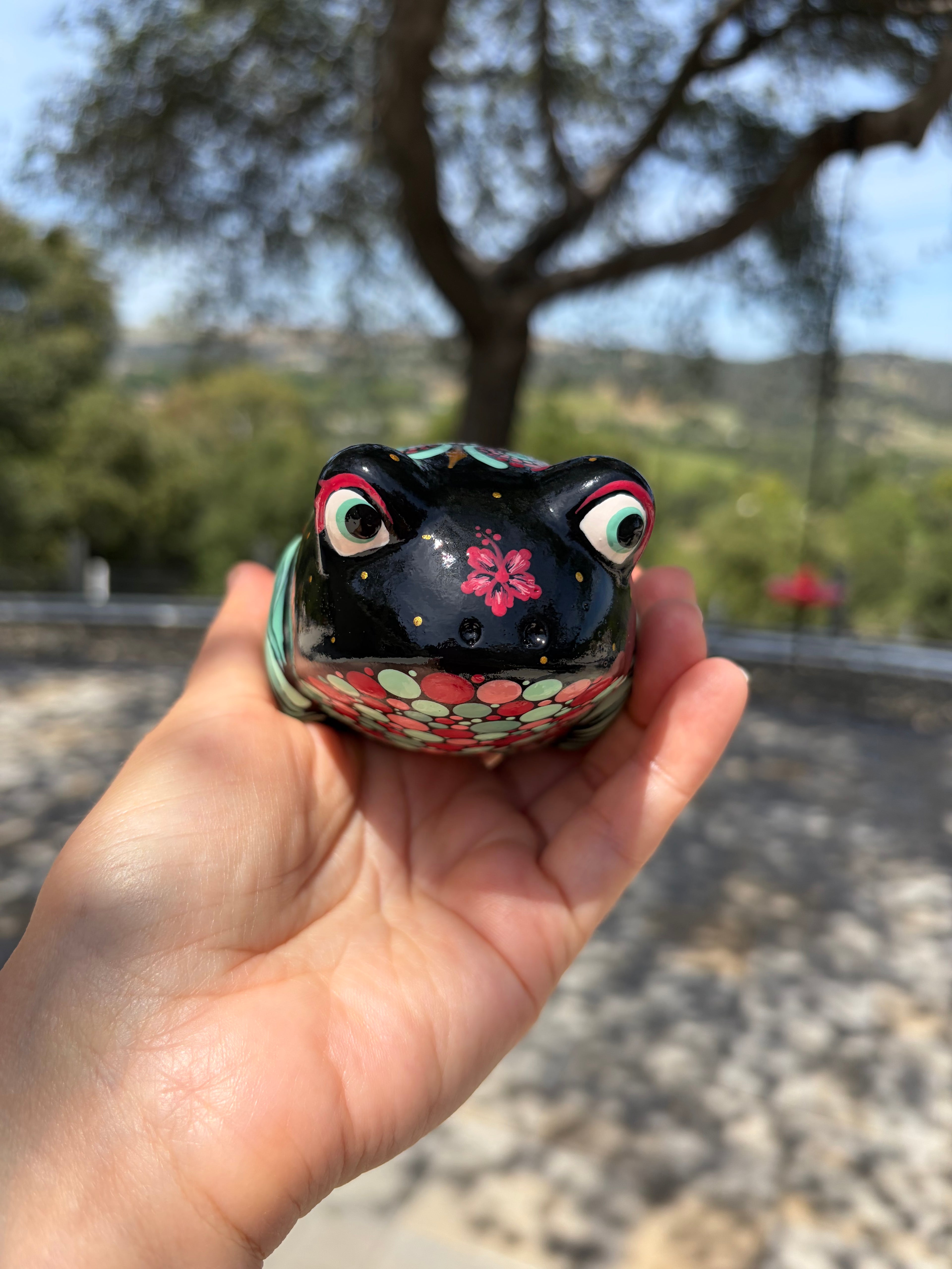 Hand Painted Tropical/Beach Frog