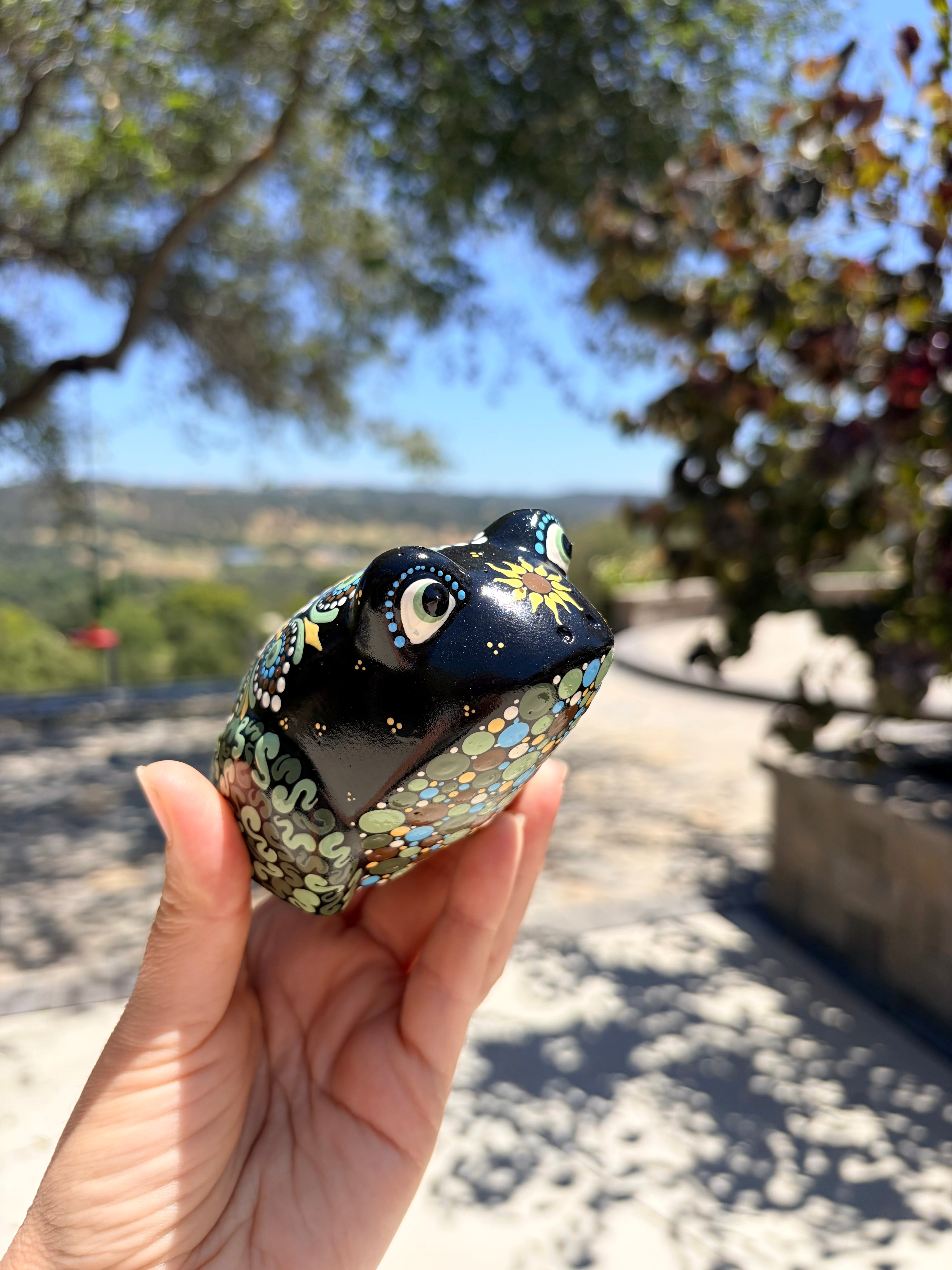 Hand Painted Frog