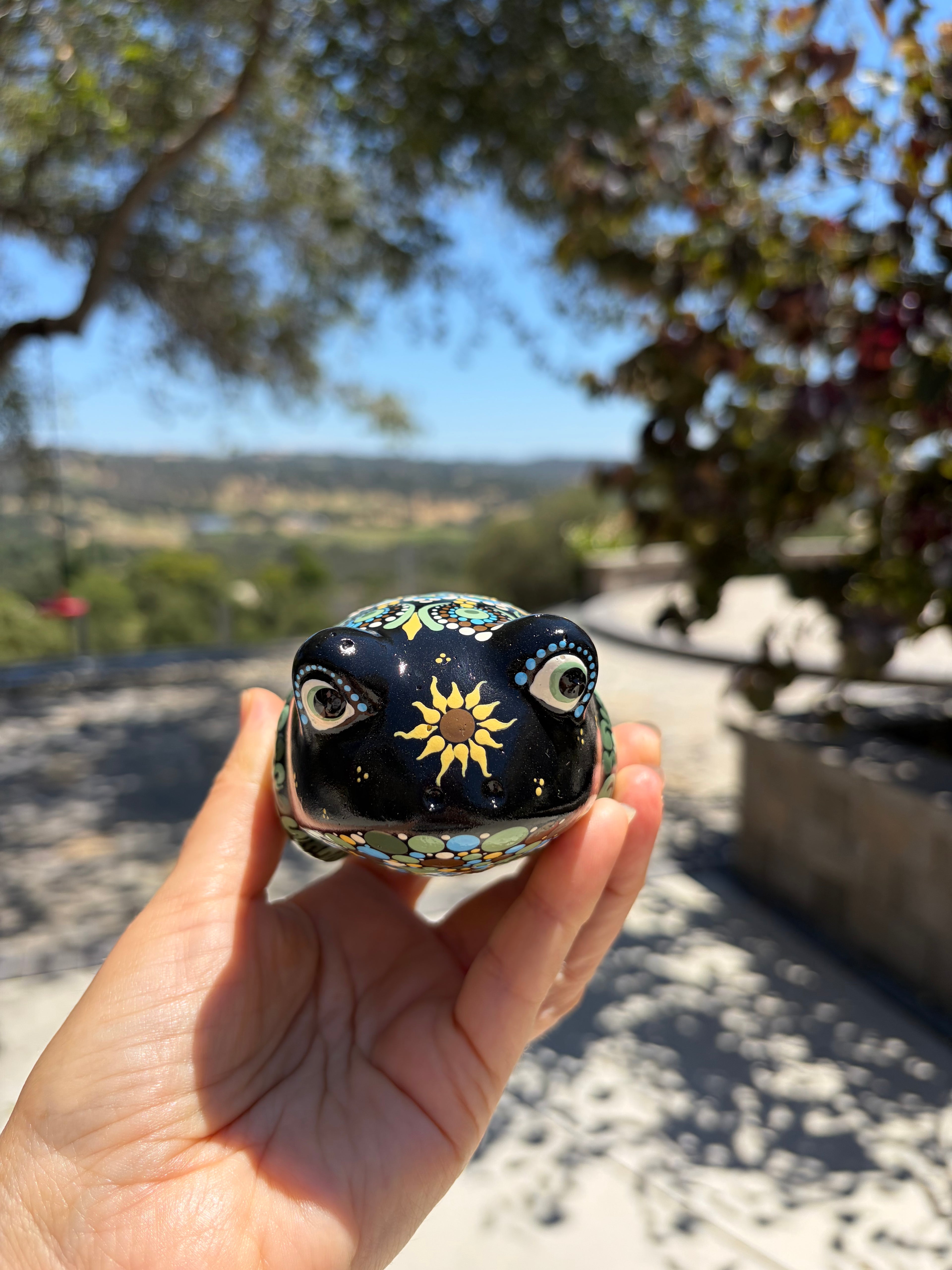 Hand Painted Frog
